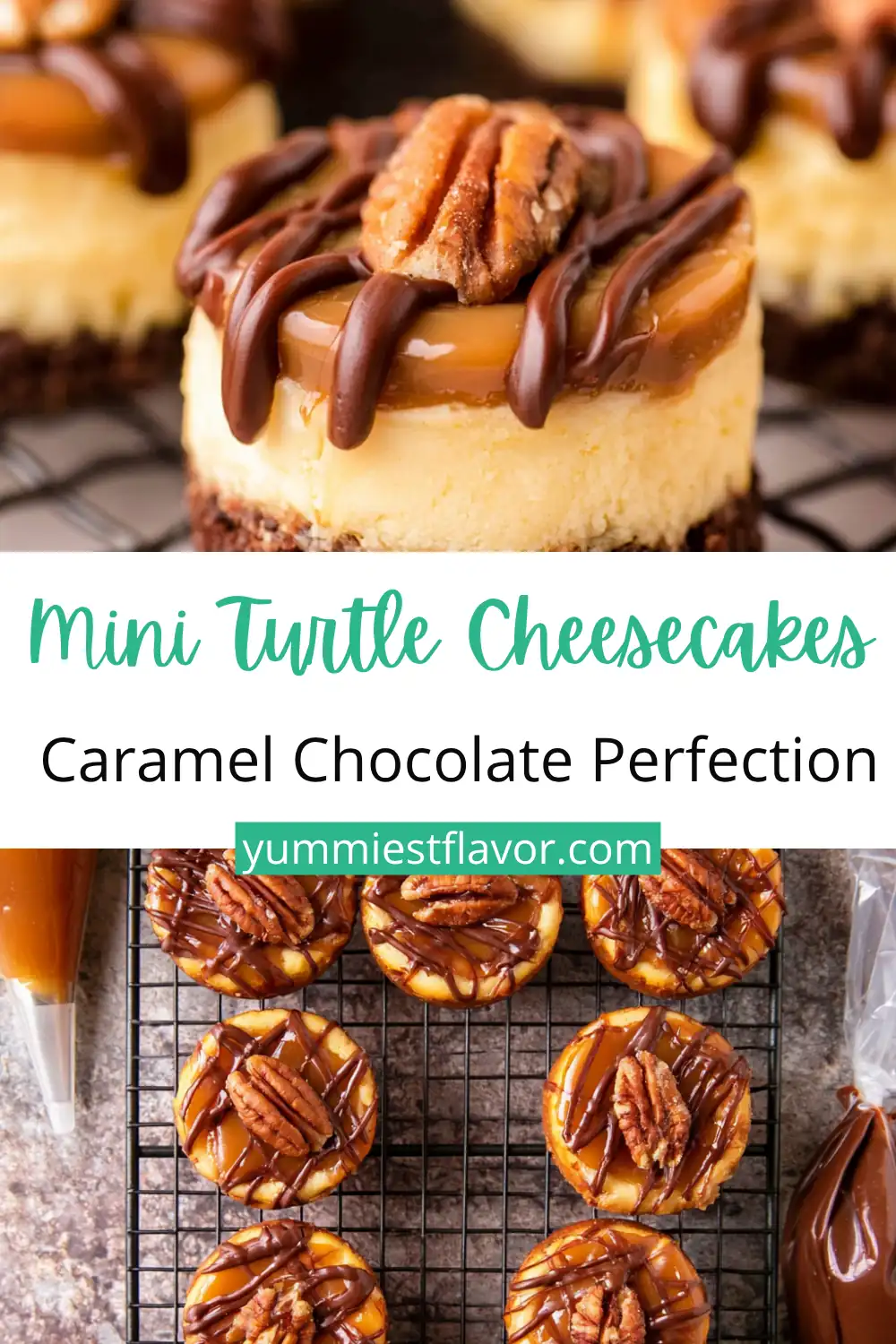 No Bake Turtle Mini Cheesecakes: Easy Caramel Pecan Treats 6 No Bake Turtle Mini Cheesecakes
