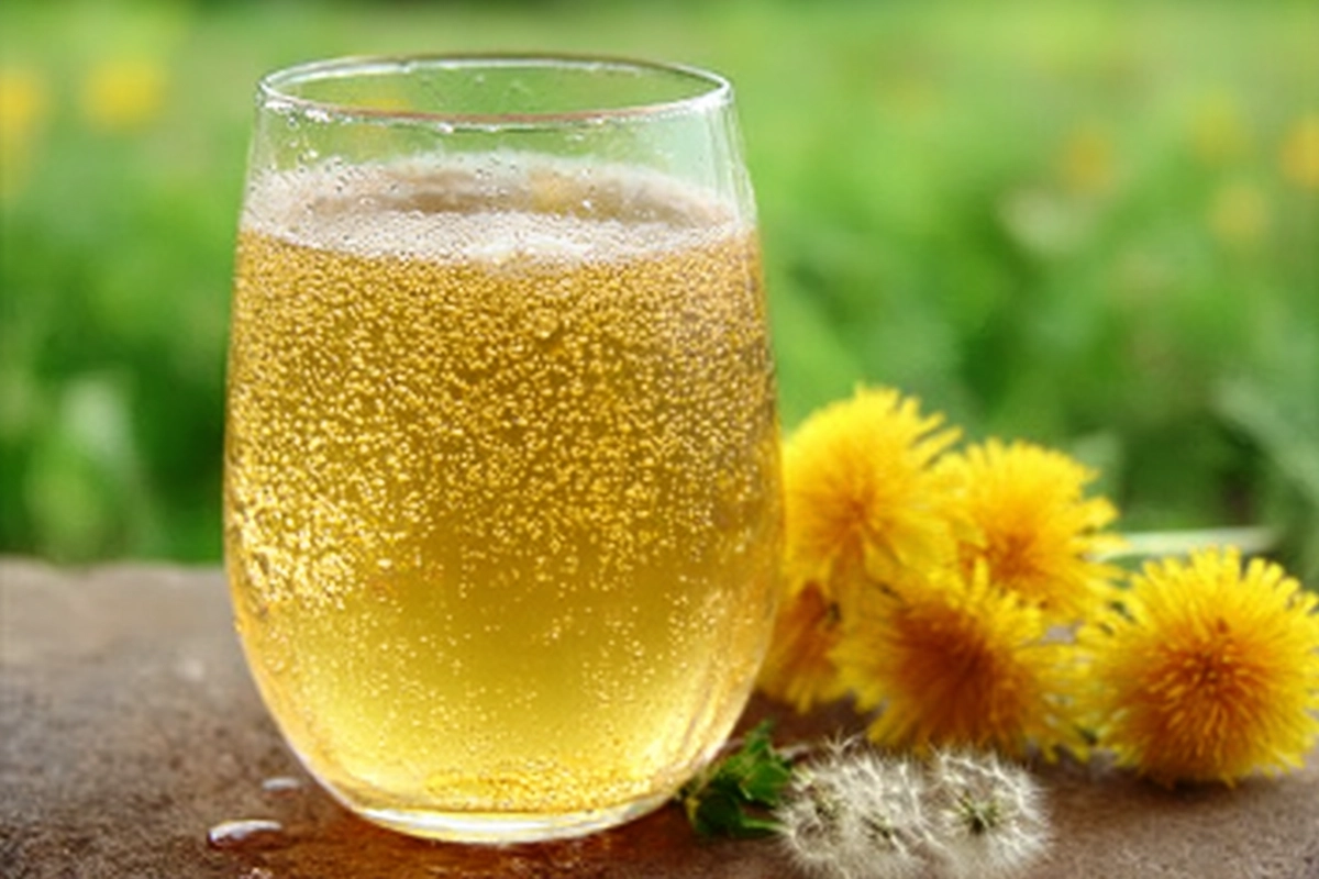 Dandelion Soda Recipe